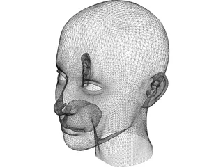 Head 3D Model preview