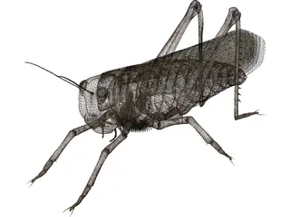 Grasshopper 3D Model preview