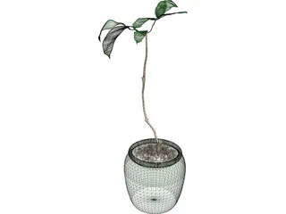 Plant 3D Model preview