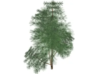 Juniper Bush 3D Model preview