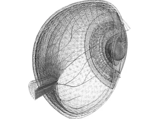 Human Eye Cross Section 3D Model preview
