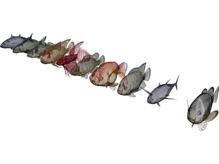 Fish Collection 3D Model preview