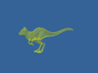 Kangaroo 3D Model preview