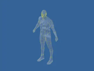 Human 3D Model preview