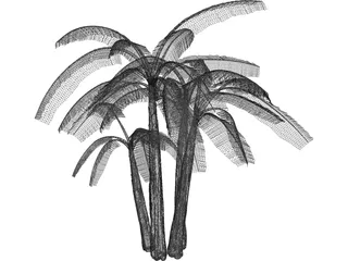 Brasil Bananeira 3D Model preview
