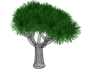 Tree 3D Model preview