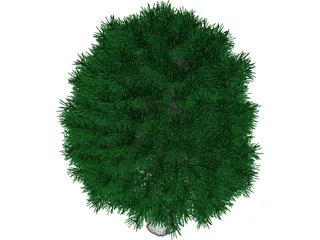Tree 3D Model preview