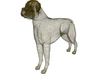 Dog Boxer 3D Model preview