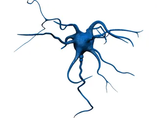 Neuron 3D Model preview