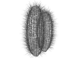 Cactus 3D Model preview