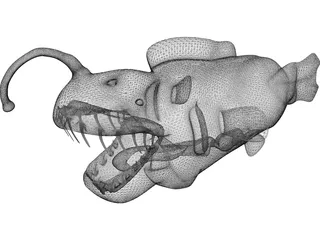 Angler Fish 3D Model preview