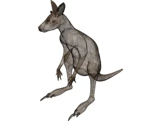 Kangaroo 3D Model preview