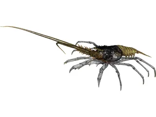 Lobster (Palinurus Elephas) 3D Model preview