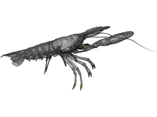 Lobster (Nephrops Norvegicus) 3D Model preview