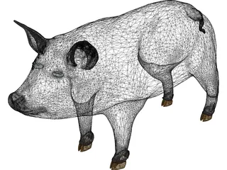Pig 3D Model preview