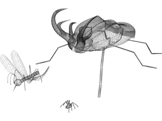 Insects 3D Model preview
