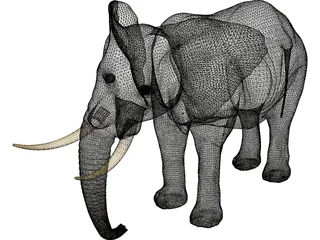 Elephant African Male 3D Model preview