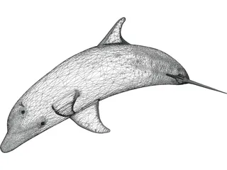 Dolphin Bottle-Nosed 3D Model preview
