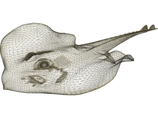 Devilfish 3D Model preview