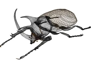 Eupatorus Gracilicornis 3D Model preview