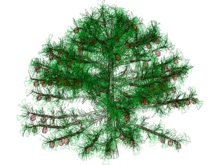 Apple Tree 3D Model preview