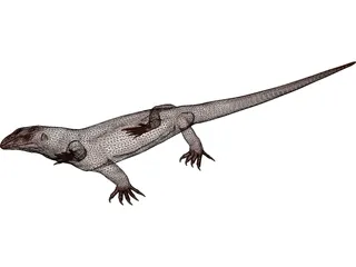 Lizard 3D Model preview