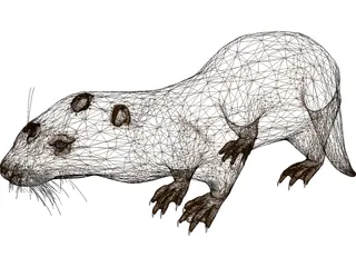 Otter 3D Model preview