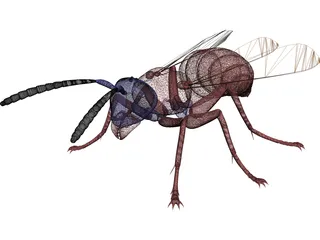 Wasp 3D Model preview