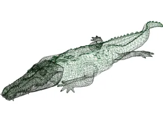 Crocodile 3D Model preview