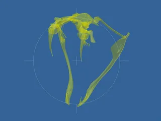 Snake Skeleton 3D Model preview