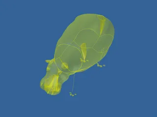 Hippopotamus 3D Model preview