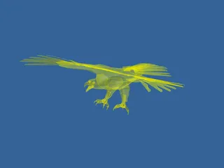 Eagle 3D Model preview