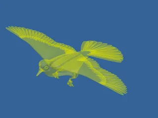 Dove 3D Model preview