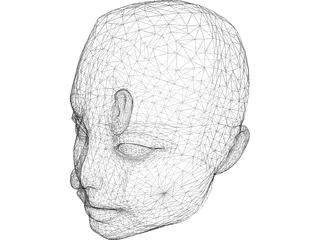 Head Female 3D Model preview