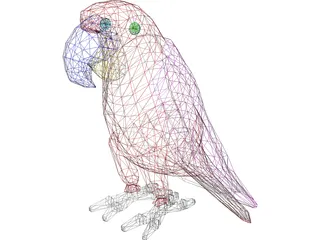 Macaw Hyacinth 3D Model preview