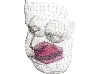 Face Baby 3D Model preview