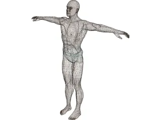 Swimmer Athlete 3D Model preview