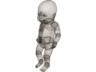 Newborn Baby 3D Model preview