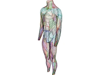 Surface Muscles Male 3D Model preview