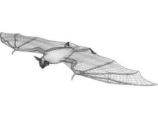 Vampire Bat 3D Model preview