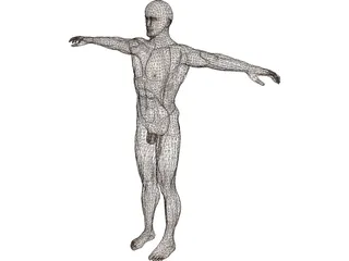 Man 3D Model preview