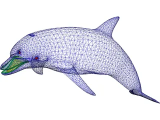 Dolphin 3D Model preview