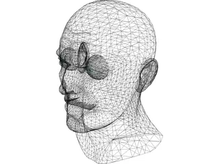 Head Male 3D Model preview