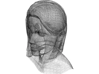 Head Female 3D Model preview