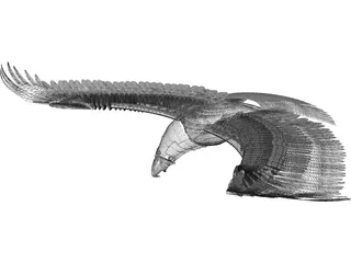 Eagle 3D Model preview