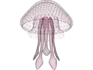 Jelly Fish 3D Model preview