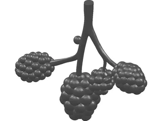 Alveoli 3D Model preview