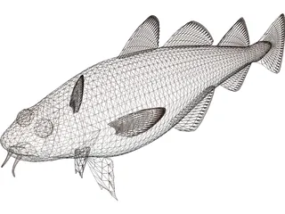 Pacific Cod 3D Model preview