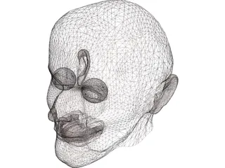 Head Man 3D Model preview