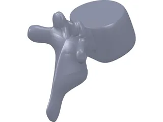 Spine 3D Model preview